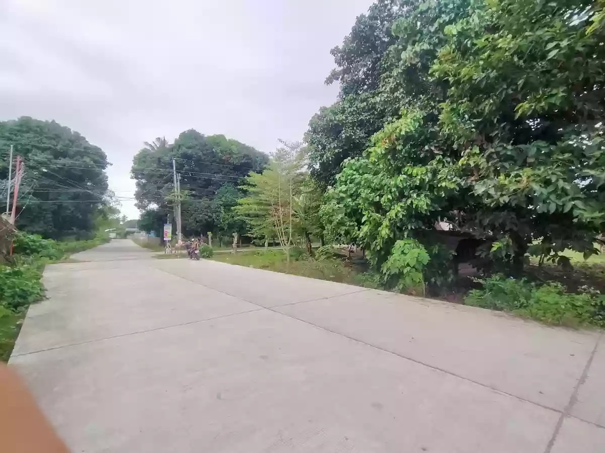 Mark jordan — Commercial Lot in Dumaguete City, Negros Oriental, 6200 — Photo 3