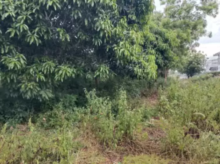 For Sale: 2844sqm Residential Lot in Diversion Road - photo 3