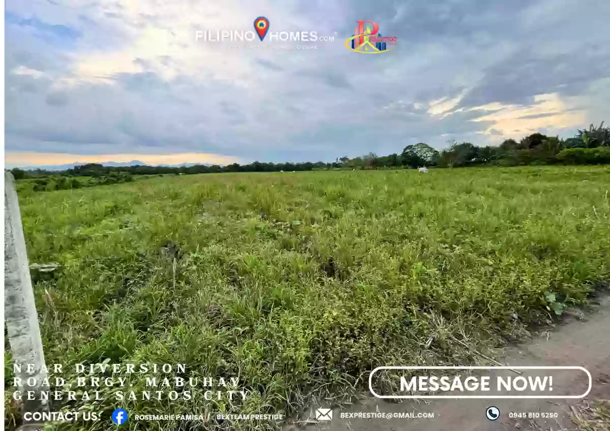 For Sale Agricultural Lot in Mabuhay, Gen. Santos City 10,000 sqm — Agricultural Lot in Gen. Santos City, South Cotabato, 9500 — Photo 5