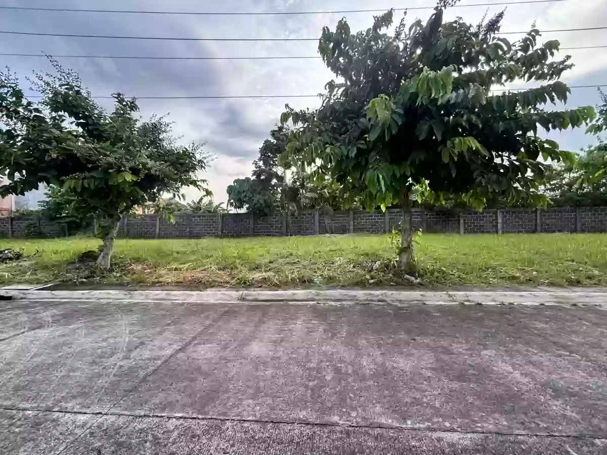 For Sale: Residential Lot in Cararayan, Naga City — 87 sqm — Residential Lot in Camarines Sur, 4400, Philippines — Photo 2