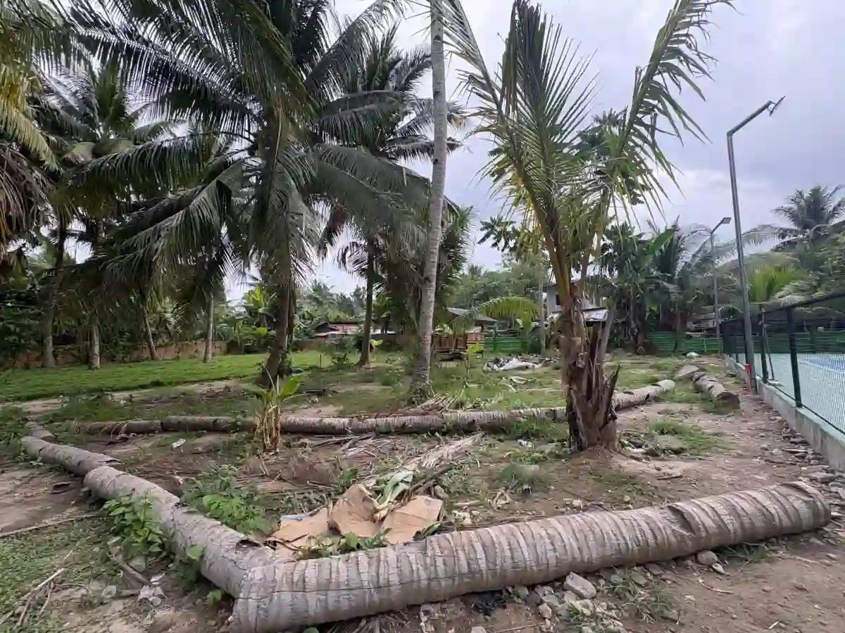 For Sale: Commercial Lot in Katangawan, General Santos City — 5,000 sqm — Commercial Lot in Katangawan, General Santos City, South Cotabato — Photo 6