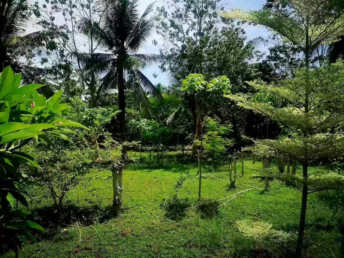 16730 sqm Agricultural Lot for Sale Near Divine Mercy Shrine, El Salvador