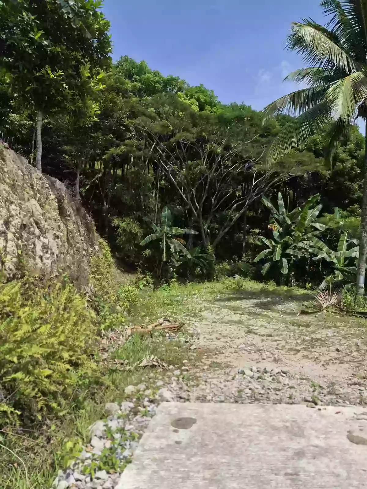 For Sale: Residential Lot in San Antonio, Sibulan — 300 sqm — Residential Lot in Sibulan, Negros Oriental, 6201 — Photo 6