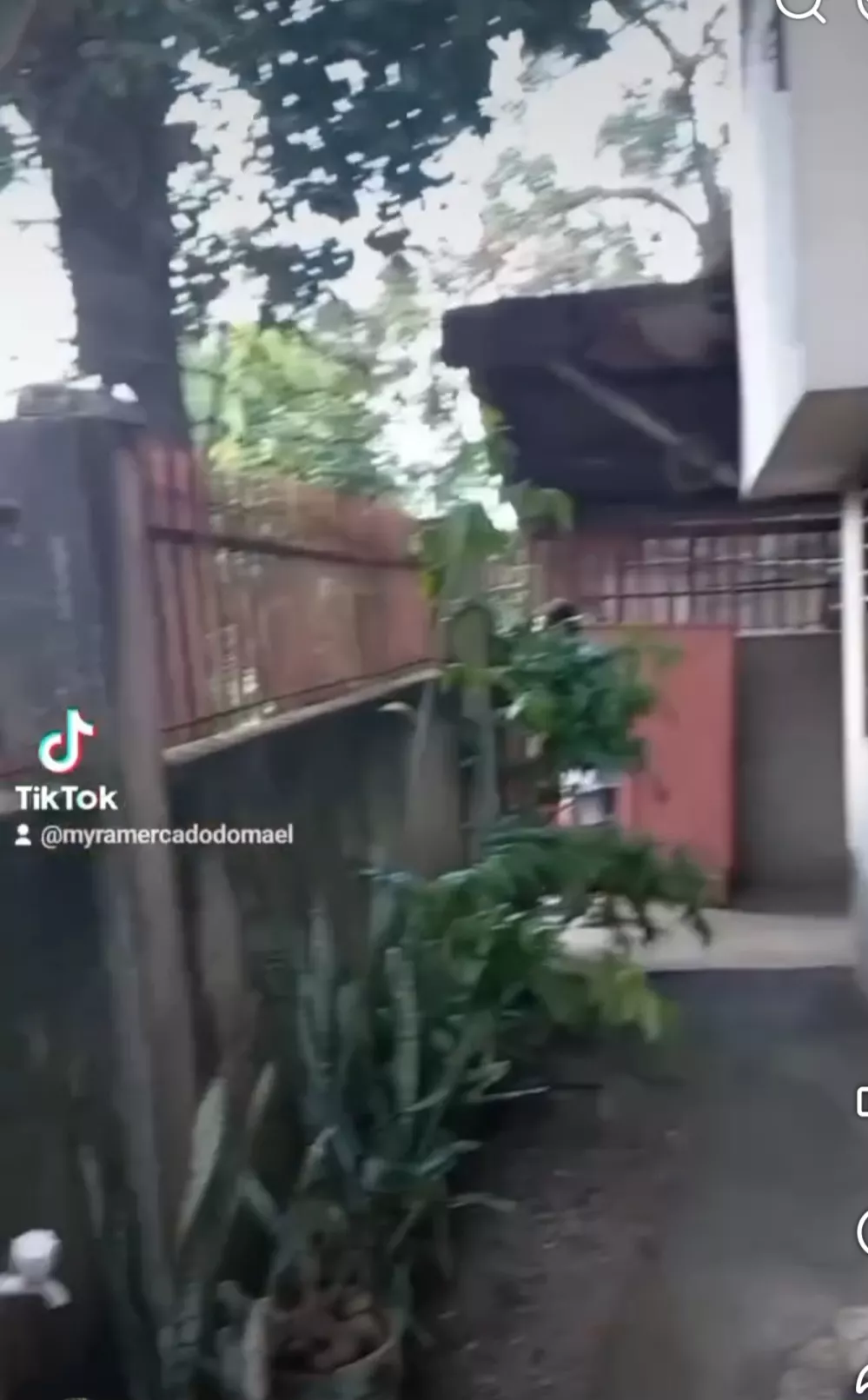 TITLED LOT With Old House FOR SALE 📍 Location: Zone Gabi Paknaan, Mandaue City, Cebu — House and Lot in Pakna-an, Mandaue City, Cebu — Photo 4