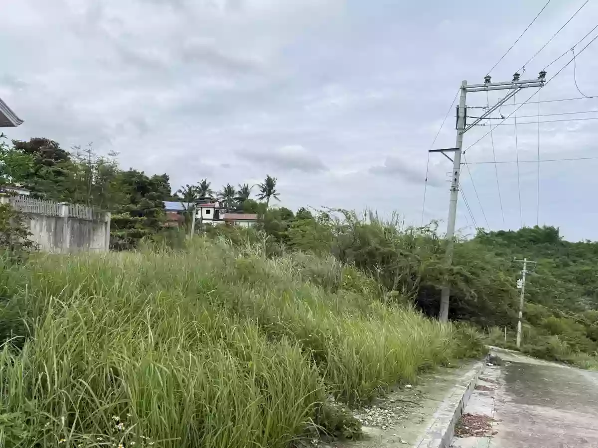 For Sale: Residential Lot in Sacsac, Consolacion, Cebu — 271 sqm — Residential Lot in Sacsac, Consolacion, Cebu — Photo 4