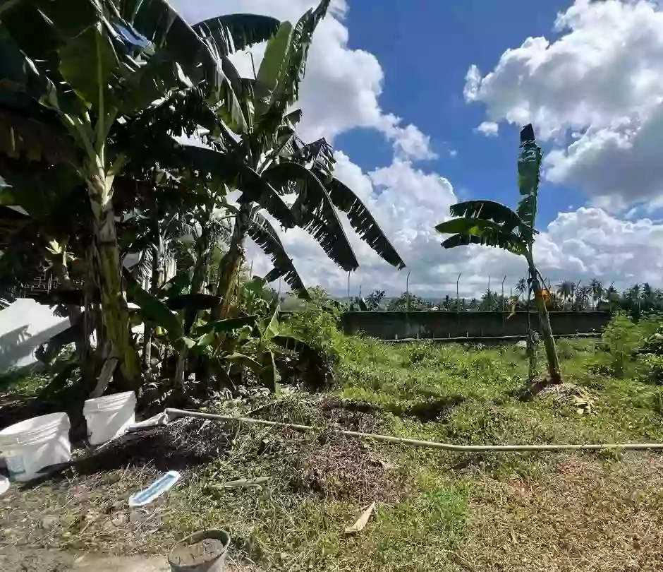 Corona del Mar Residential Lot for Sale in Pooc, Talisay City, Cebu — Residential Lot in Talisay City, Cebu, 6045 — Photo 4