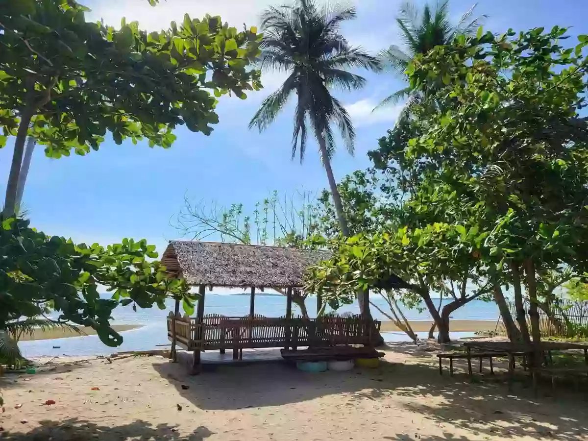 For Sale: Beach Lot in Manalo, Puerto Princesa City — Beach Lot in Puerto Princesa City, Palawan, 5300 — Photo 3