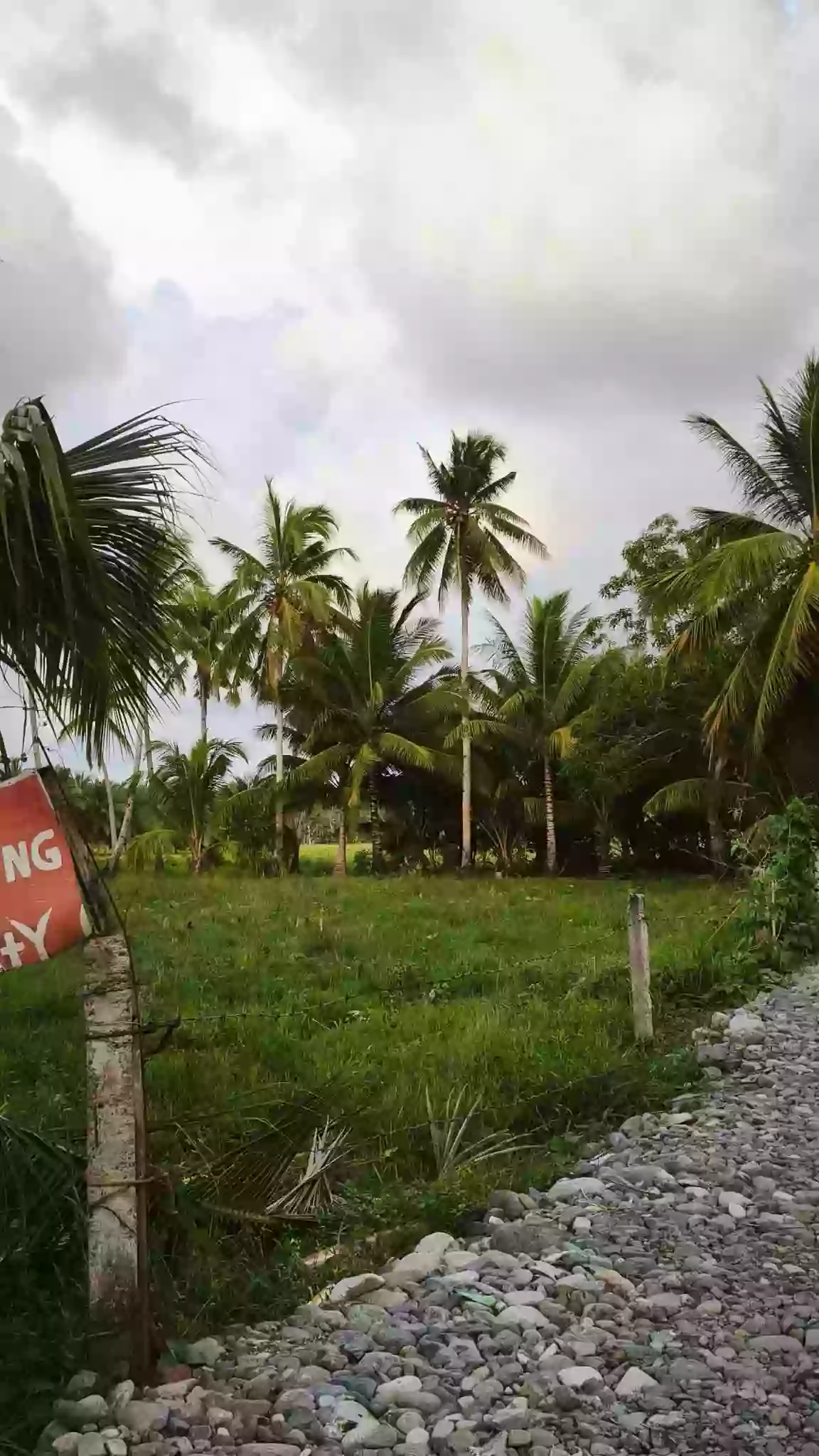 Rush Sale: Agricultural Lot in Abilan, Buenavista — 1000 sqm — Agricultural Lot in Buenavista, Agusan del Norte, 8601 — Photo 6
