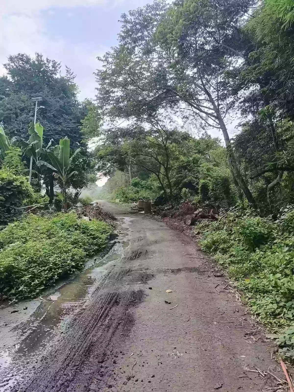 Lot For Sale - 15,399 SQM Investment Property Beside Apo Highlands Subdivision | Catalunan Grande, Davao City — Agricultural Lot in Catalunan Grande, Davao City, Davao del Sur — Photo 2