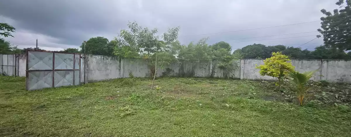 For Sale Farm Lot -Purok 8 Tinagacan, Gen. Santos City — Gated and Cemented Road — Agricultural Lot in Lower Labay, Tinagacan, Gen. Santos City — Photo 5