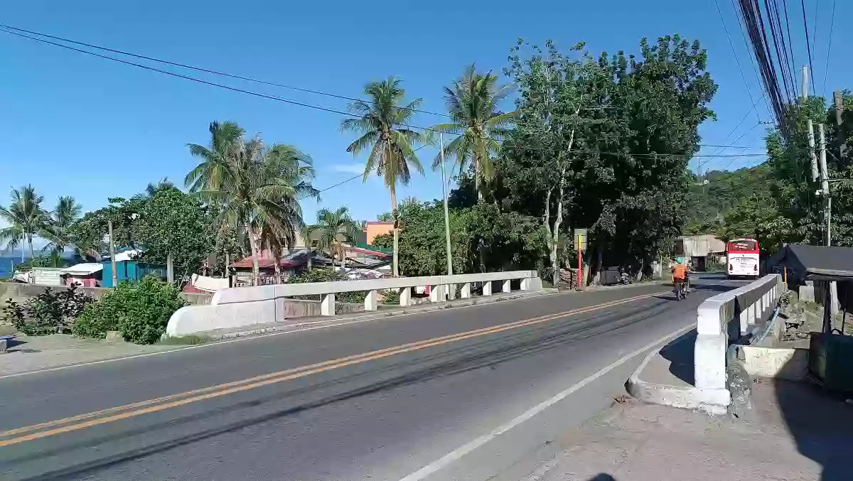 Rush Sale: 1077sqm Residential Lot, Central Pob. Plaridel Quezon Near Public Market and Maharlika Highway — Residential Lot in Central (Pob.), Plaridel, Quezon — Photo 7