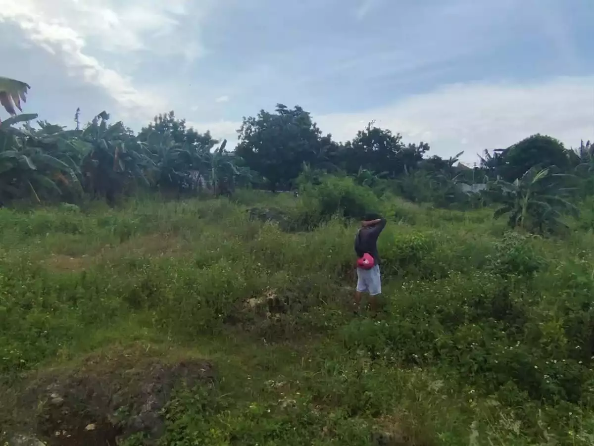 Lot for Sale near CCLEX Access Road — Residential Lot in Ibabao, Cordova, Cebu — Photo 3