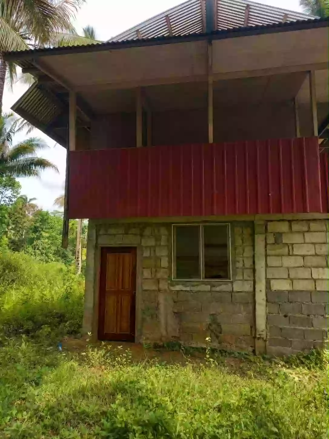 Rush Sale: 107104 sqm Agricultural Lot in Burgos, Aloran — Agricultural Lot in Burgos, Aloran, Misamis Occidental — Photo 7