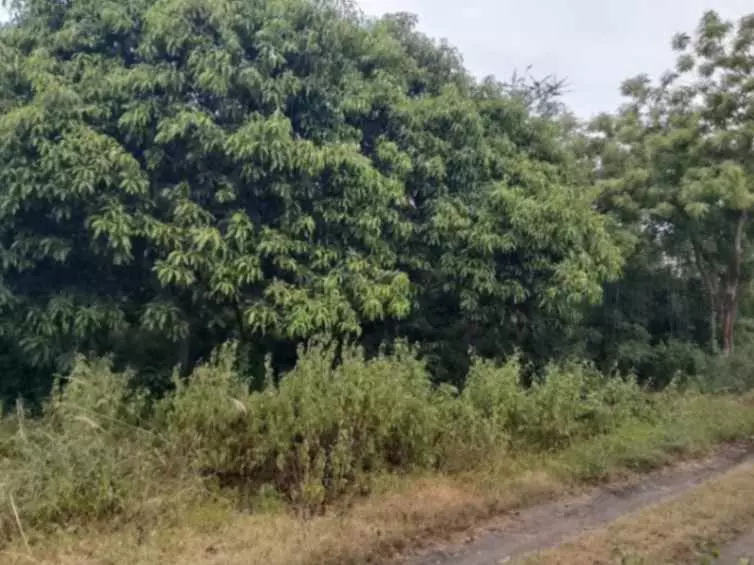 For Sale: 2844sqm Residential Lot in Diversion Road