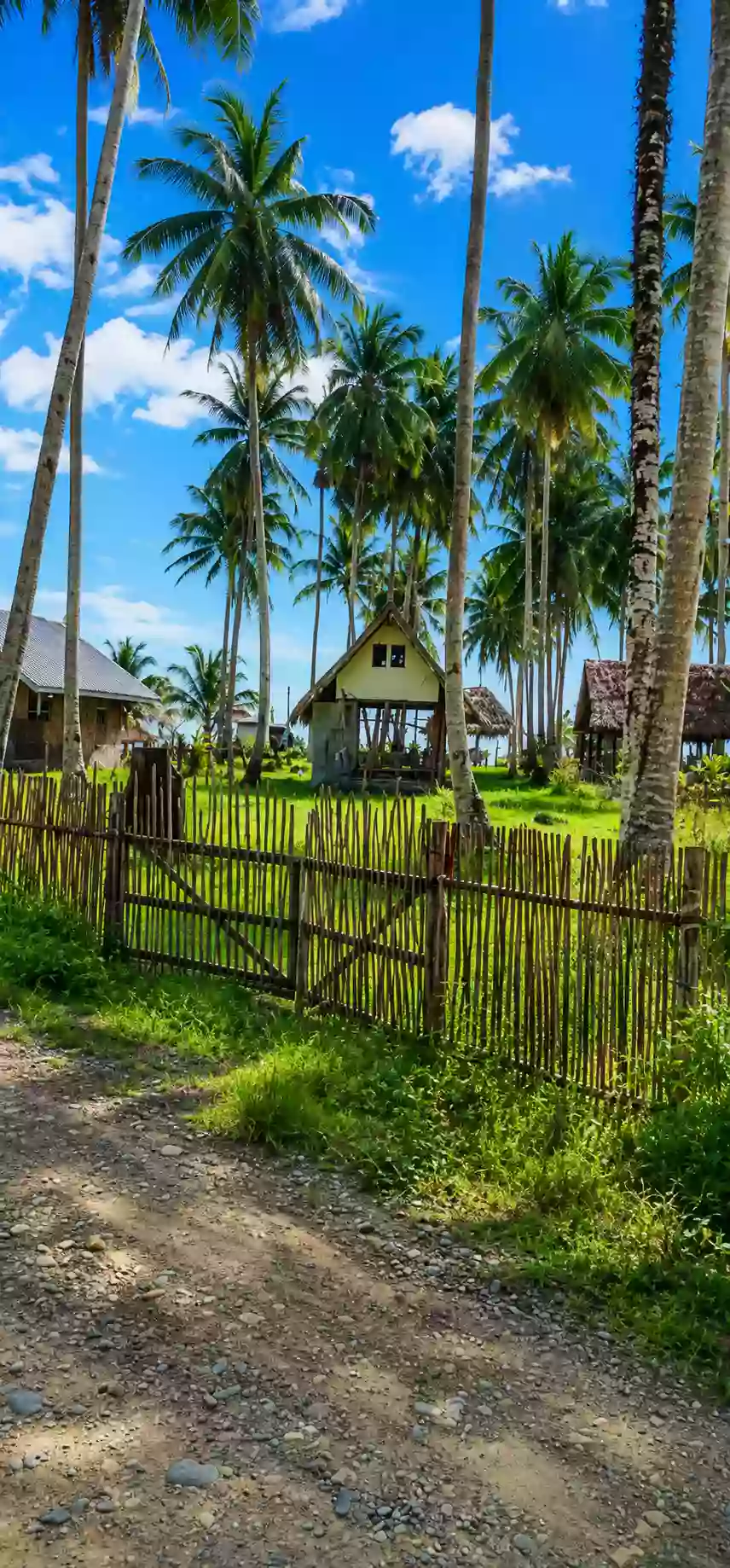For Sale Beach Lot in Aporawan, Aborlan — 659 sqm — Beach Lot in Aborlan, Palawan, 5302 — Photo 5