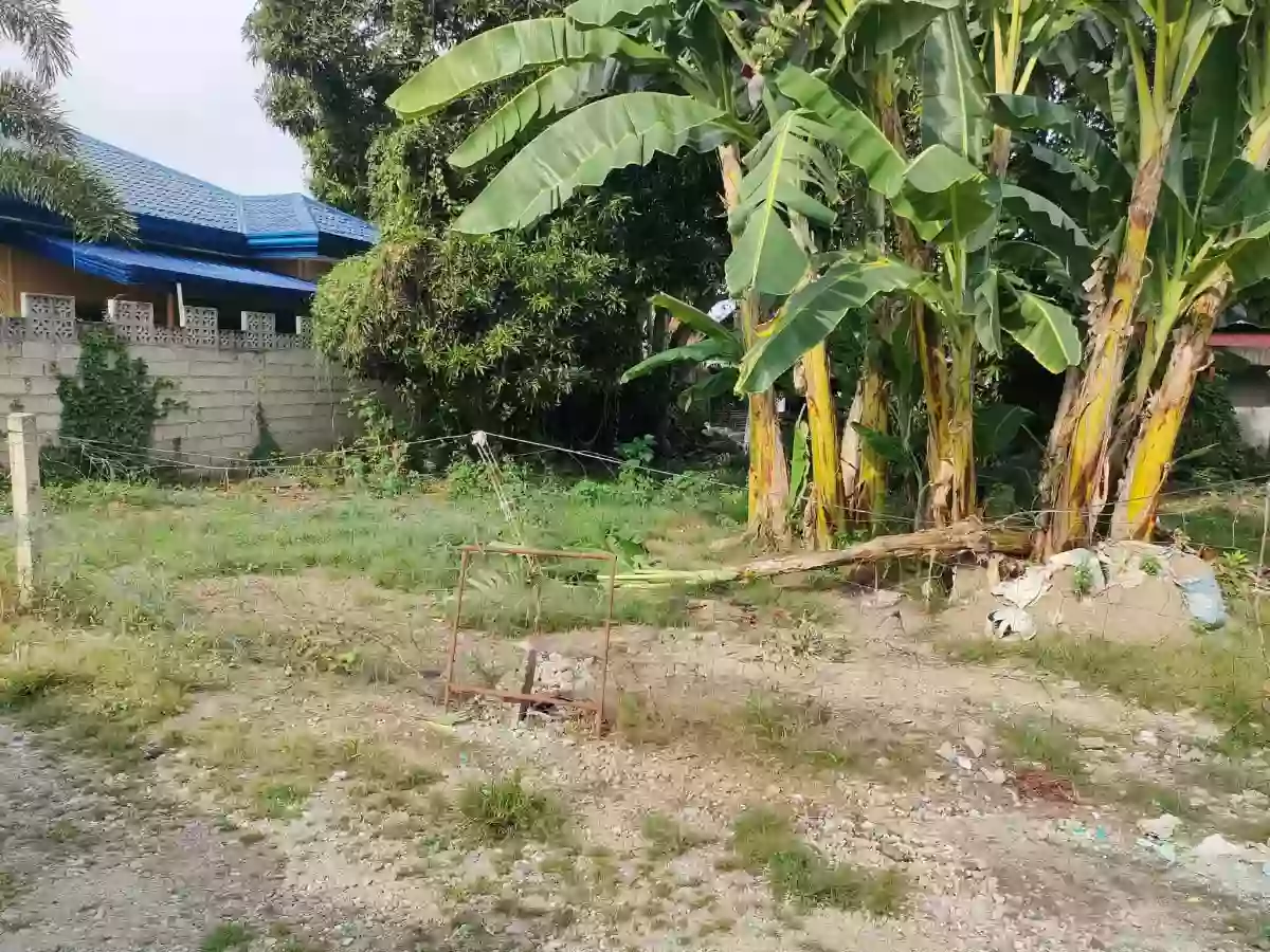 For Sale: Residential Lot in Camanjac, Dumaguete City — 300 sqm — Residential Lot in Dumaguete City, Negros Oriental, 6200 — Photo 3