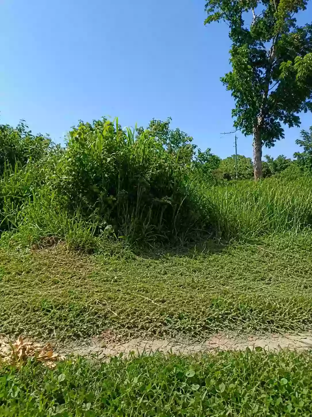 RESIDENTIAL LOT FOR SALE — Residential Lot in Pacol, Naga City, Camarines Sur — Photo 2