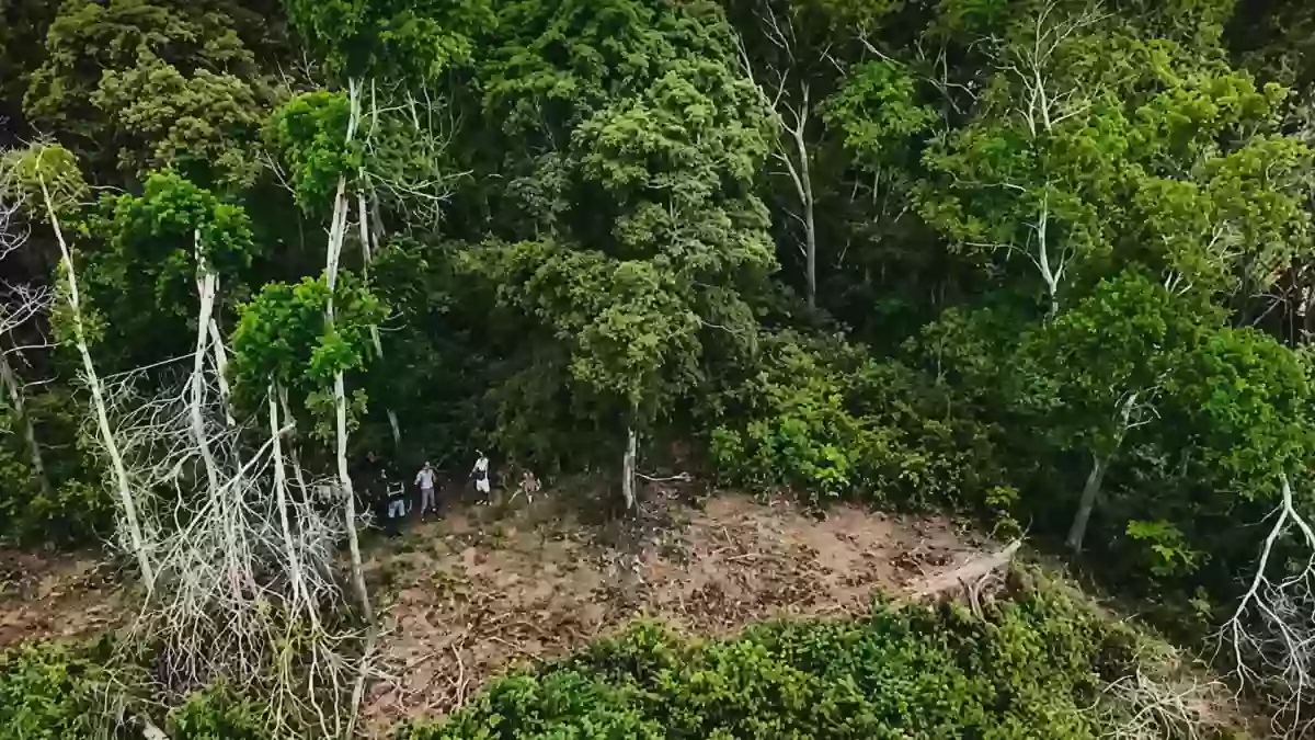 Prime Beachfront Titled Property for Sale | 11,000 SQM | Brgy. Bebeladan, El Nido, Palawan — Beach Lot in Bebeladan, El Nido (Baquit), Palawan — Photo 5