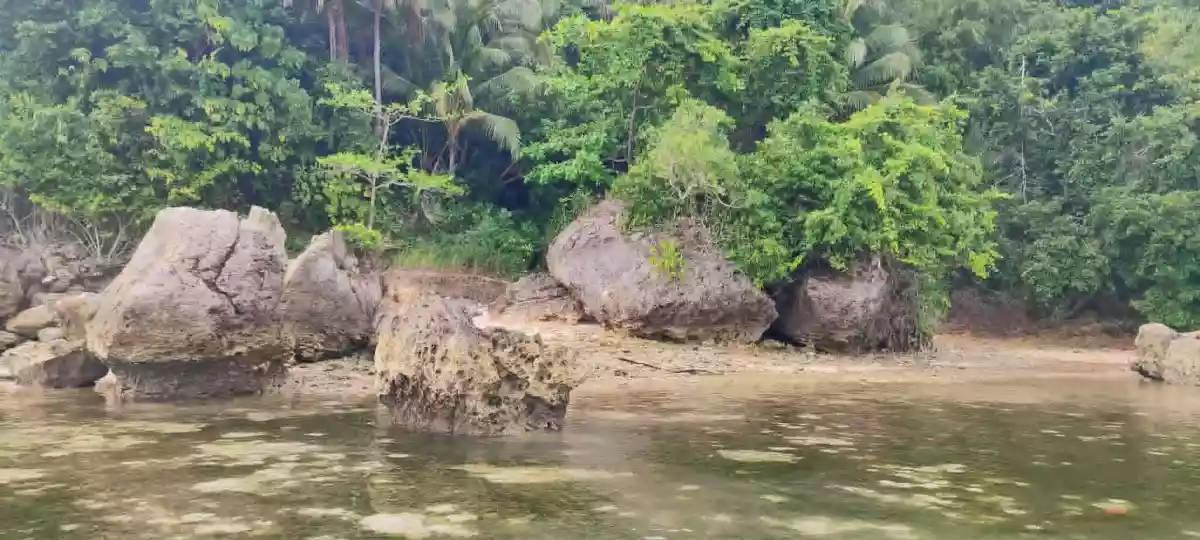 🌴 Prime 6,000 SQM Beach Lot for Sale Near Manami Resort & Pardis Resort | Sipalay City | Along Cemented Road — Beach Lot in Sipalay, Negros Occidental, 6113 — Photo 2
