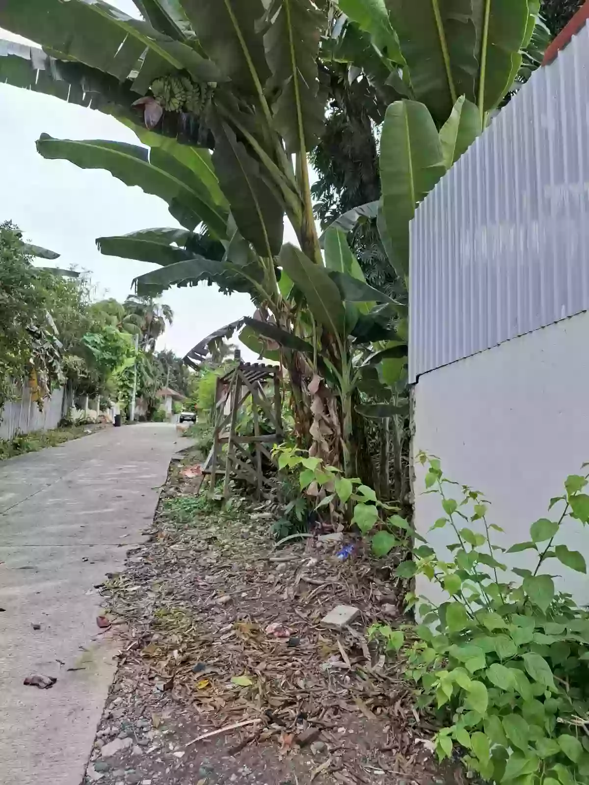 Rush Sale: LOT 400sqm Residential Lot in the heart of Buhangin’s. — Residential Lot in Davao City, Davao del Sur, 8000 — Photo 3