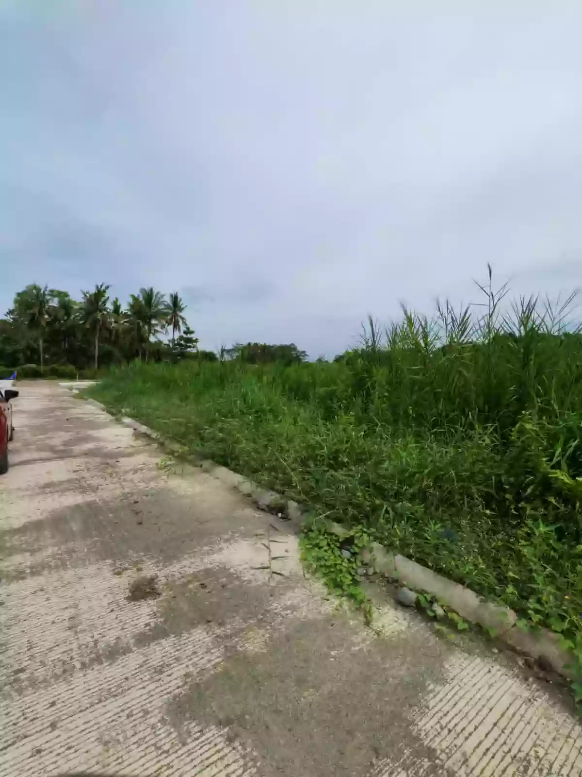 Residential Lot for Sale at Employees Village, Butuan City — Residential Lot in Butuan City, Agusan del Norte, 8600 — Photo 5