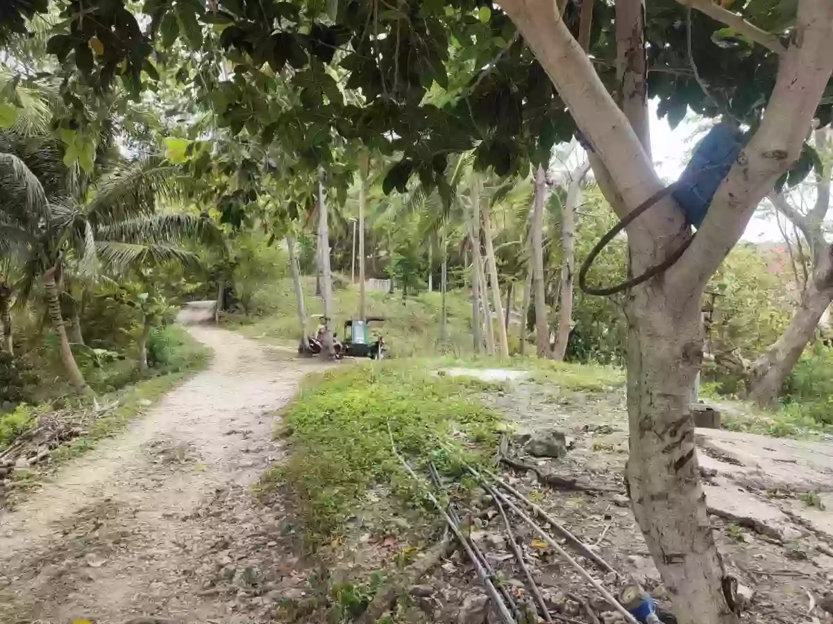 FOR SALE: Agricultural Lot Near Boljoon Heritage Park, Boljoon — 13,638 sqm — Agricultural Lot in Boljoon, Cebu, 6024 — Photo 2