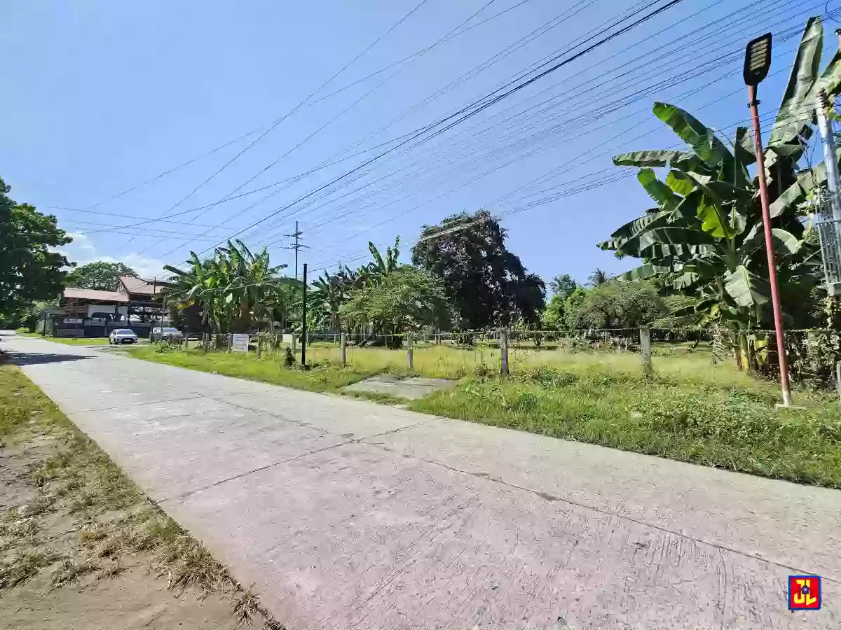 For Sale: 2,500sqm Corner Lot in San Miguel, Bacong, Negros Oriental [available] — Residential Lot in Bacung, Negros Oriental, 6216 — Photo 4