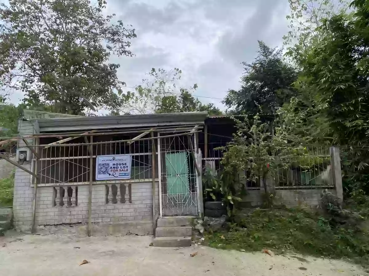 For Sale: 3BR House and Lot in Tominobo Proper, Iligan City — 225 sqm Lot
