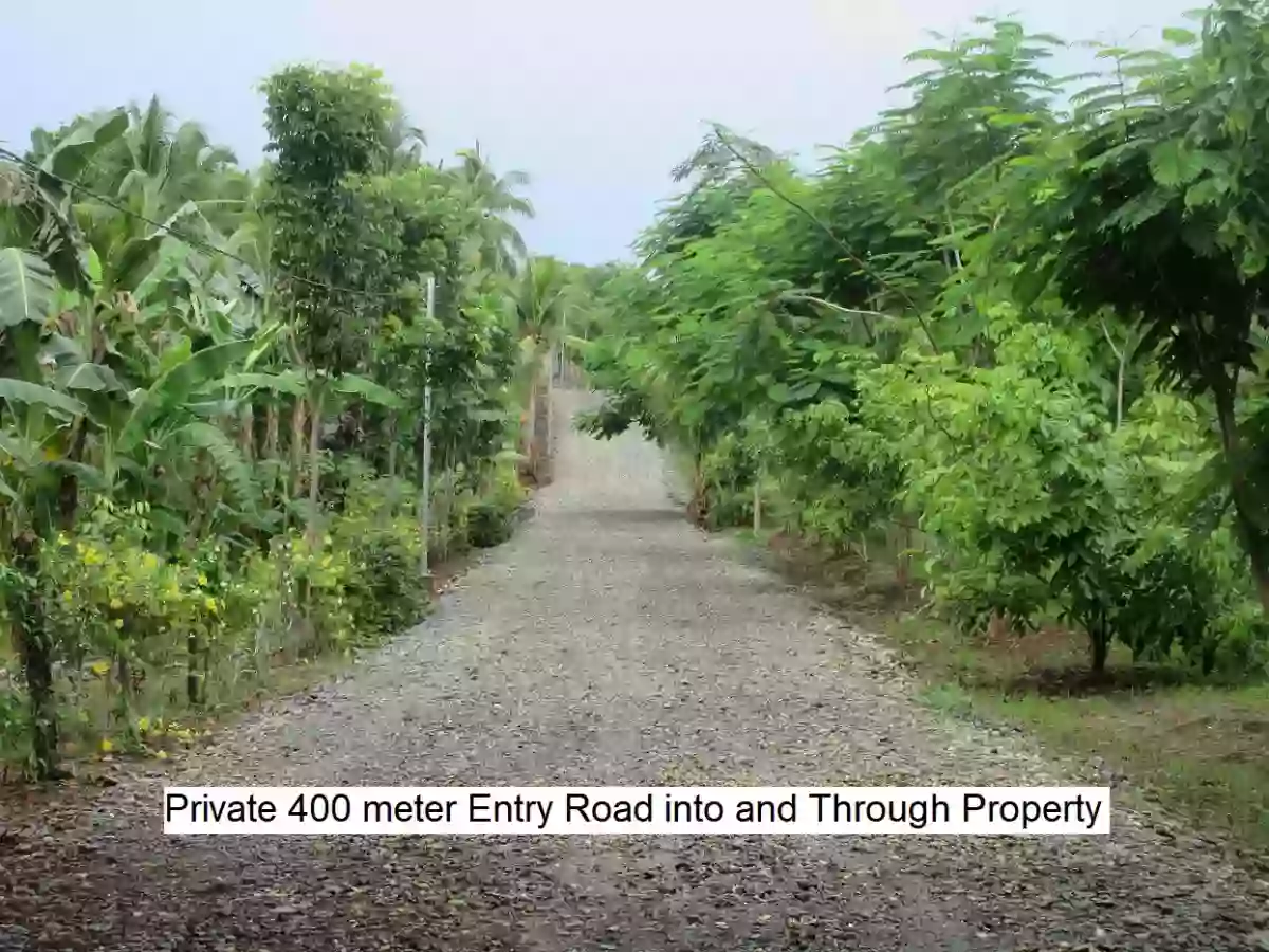 Open photo 13 of 15 — RARE OPPORTUNITY TO BUY A “TURNKEY” INVESTMENT PROPERTY APPROXIMATELY 8 HECTARES / 2 CLEAN TITLES