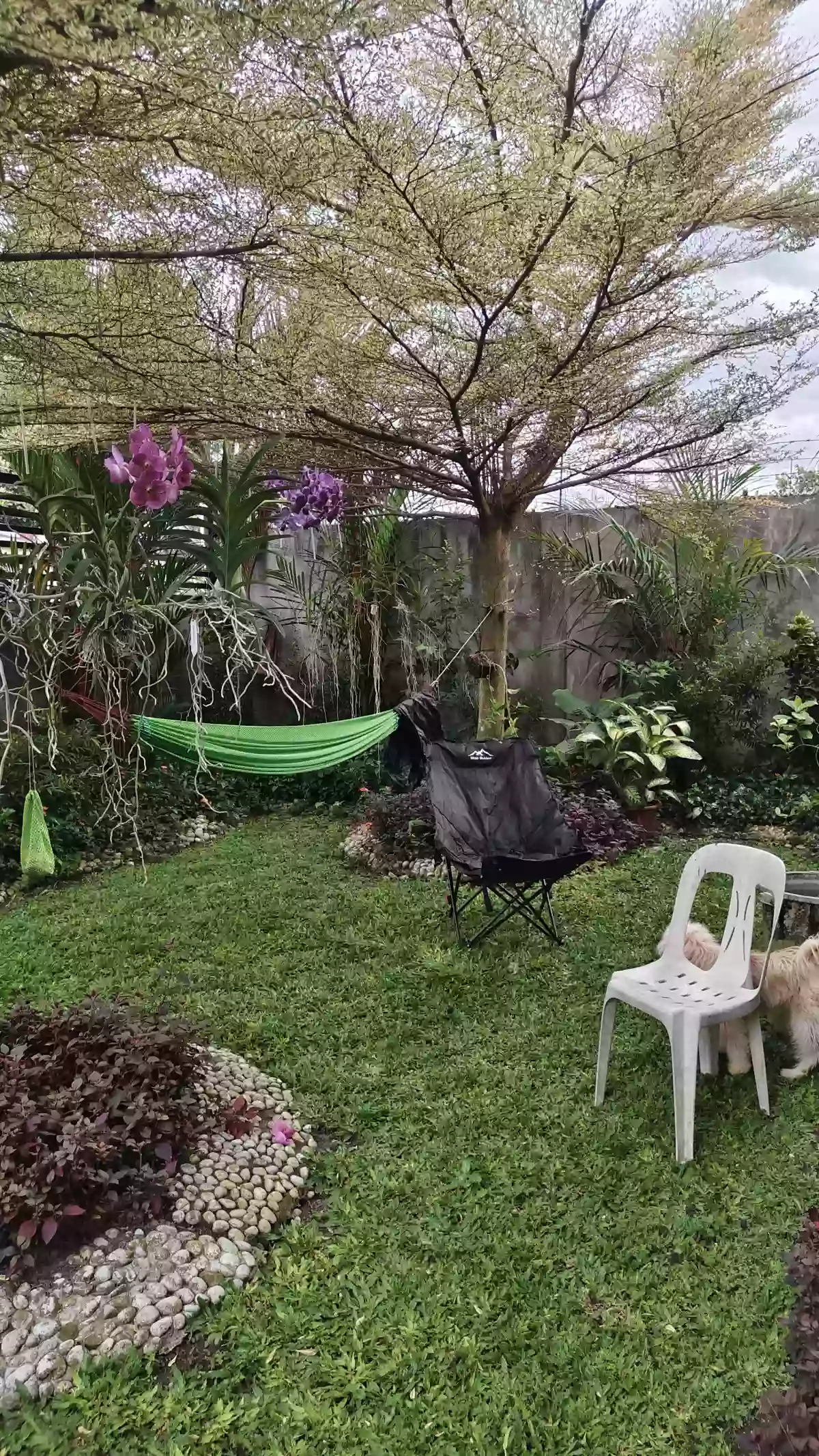 For Sale: 3BR House and Lot in Glamang, Polomolok — 500 sqm — House and Lot in Polomolok, South Cotabato, 9504 — Photo 3