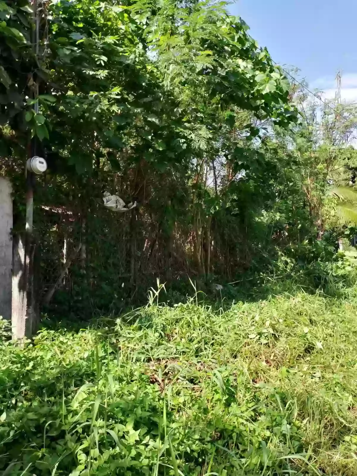 Vacant Lot For Sale — Residential Lot in General Santos City, South Cotabato, 9500 — Photo 6