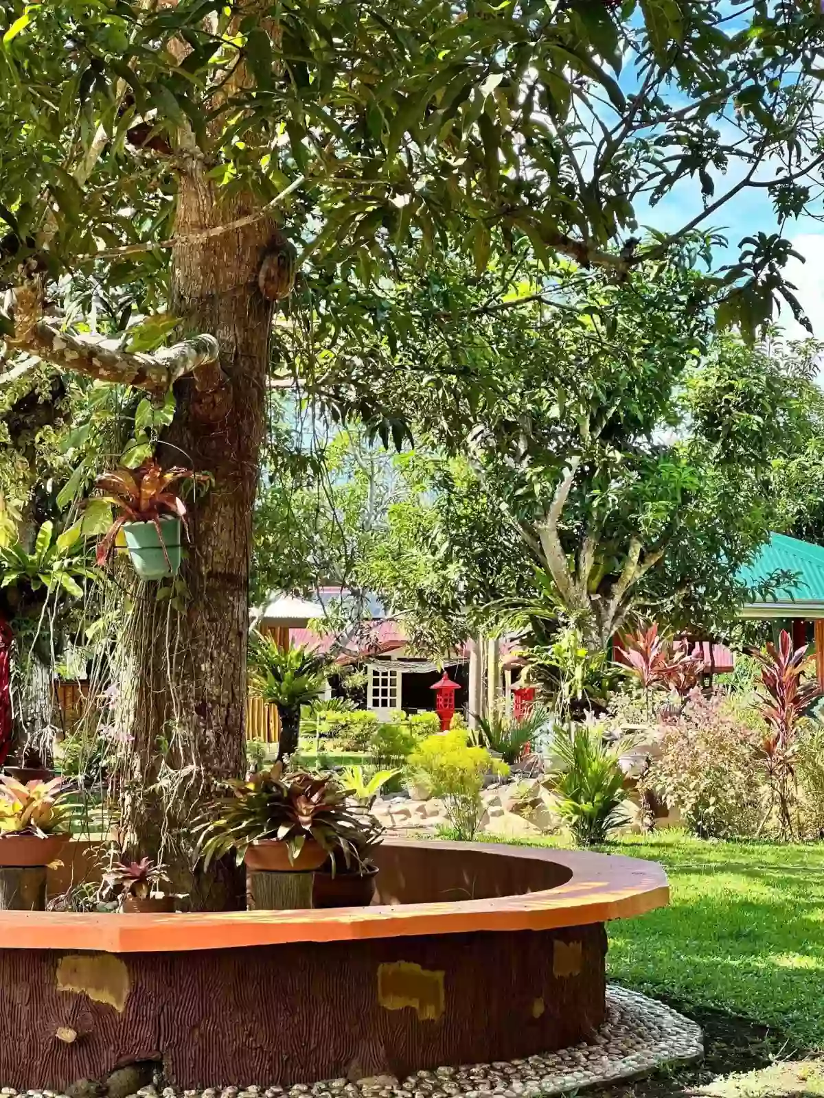 For Sale: 8130 sqm Residential Lot Property in Bacungan, Puerto Princesa City — Residential Lot in Puerto Princesa City, Palawan, 5300 — Photo 2