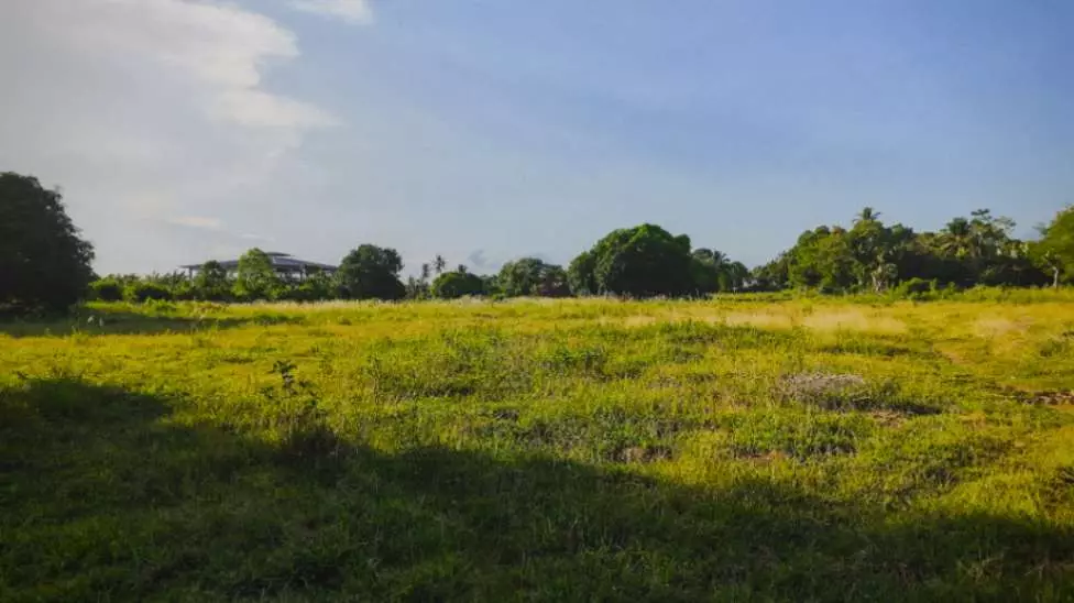 For Sale: 2 Hectare Lot in Poblacion, Alabel, Sarangani – Ideal for Investment - photo 2