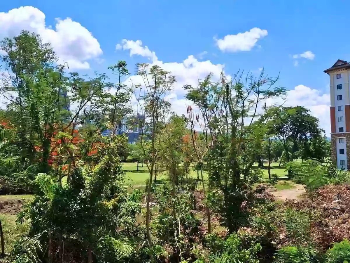 For Rent: Fully Furnished 2BR One Oasis Condo in Mabolo, Cebu City — 42 sqm — 2 Bedrooms in Cebu City, Cebu, 6000 — Photo 5