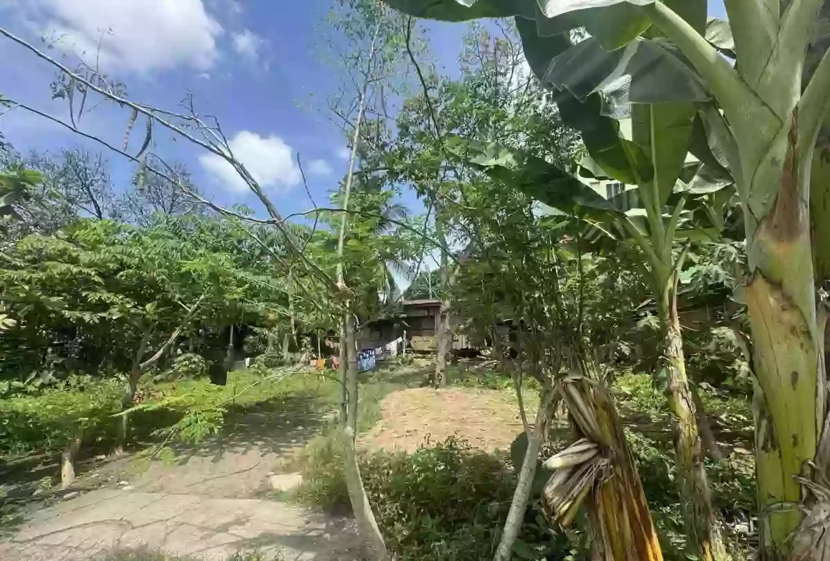 LOT FOR SALE – PRIME LOCATION — Residential Lot in Davao City, Davao del Sur, 8000 — Photo 2