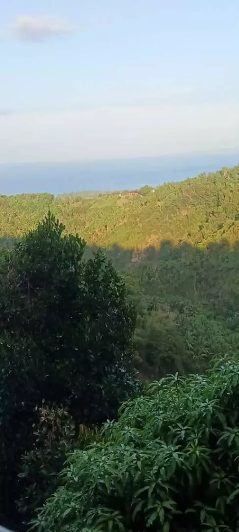 LOT FOR SALE IN JANAYJANAY, SAN JOSE, NEGROS ORIENTAL - photo 5