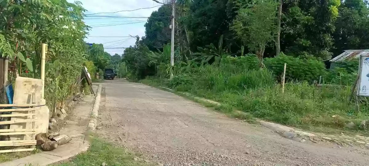 For Sale: Residential Lot in Catalunan Grande, Davao City — 163 sqm