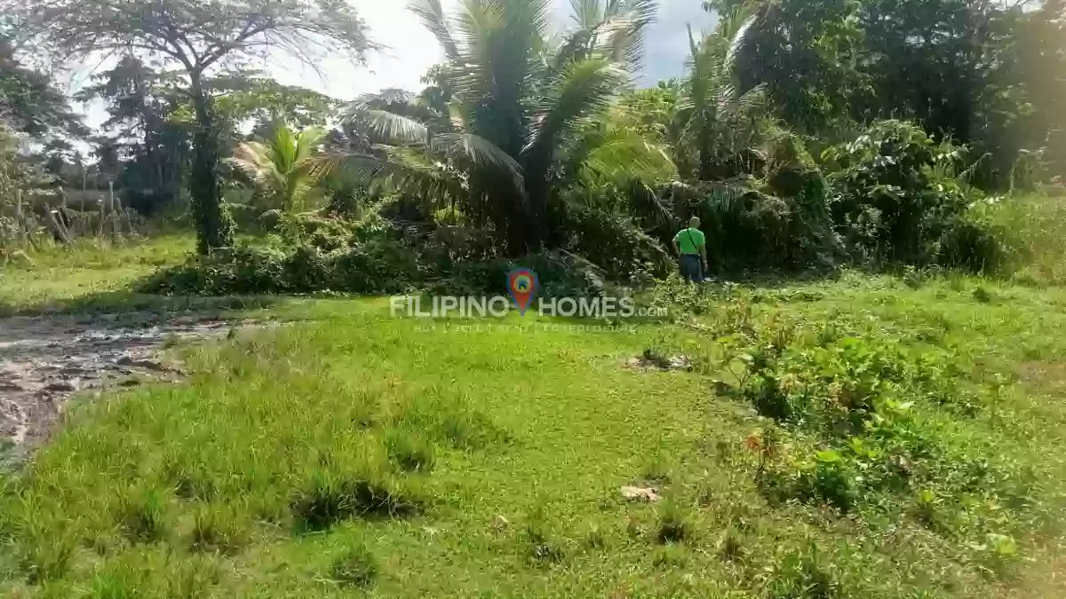 For Sale: Residential Lot in Sadaan, Midsayap — 375 sqm