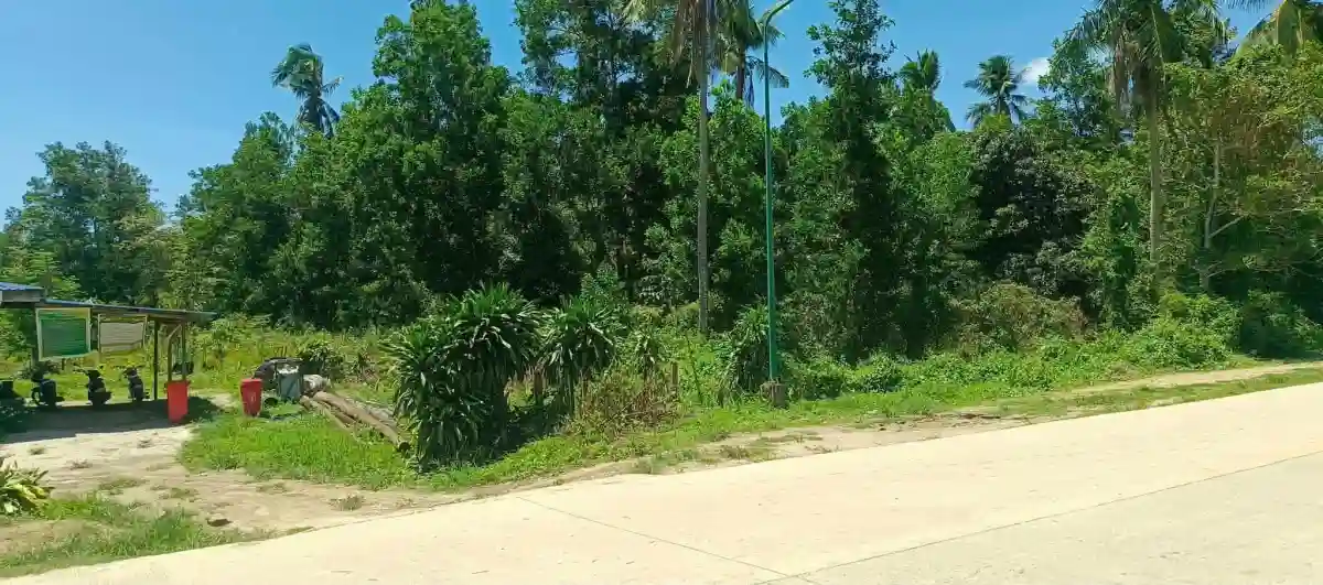 For Sale: Residential Lot in New Agutaya, San Vicente