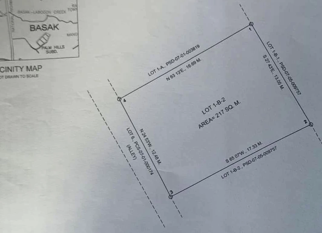VERSATILE LOT IN BASAK, MANDAUE — Residential Lot in Basak, Mandaue City, Cebu — Photo 2