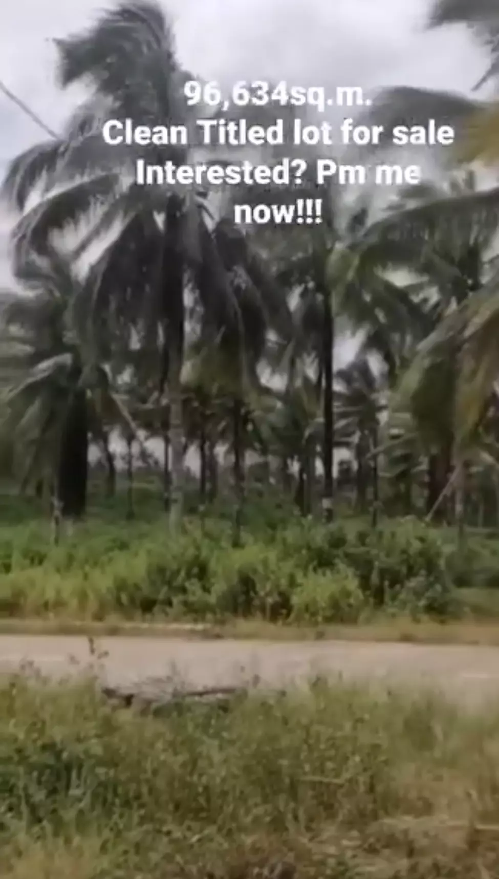 For Sale: Agricultural Lot Near Zamboanga Sibugay — 518m Road Frontage — Agricultural Lot in Domandan, Ipil, Zamboanga Sibugay — Photo 5