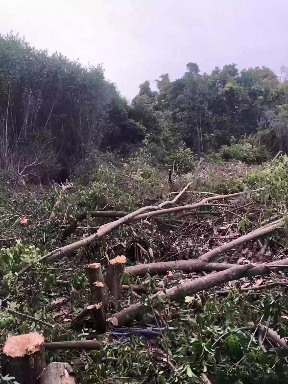 For Sale: Residential Lot in Bayabas, Cagayan de Oro City — 339 sqm — Residential Lot in Cagayan de Oro City, Misamis Oriental, 9000 — Photo 4