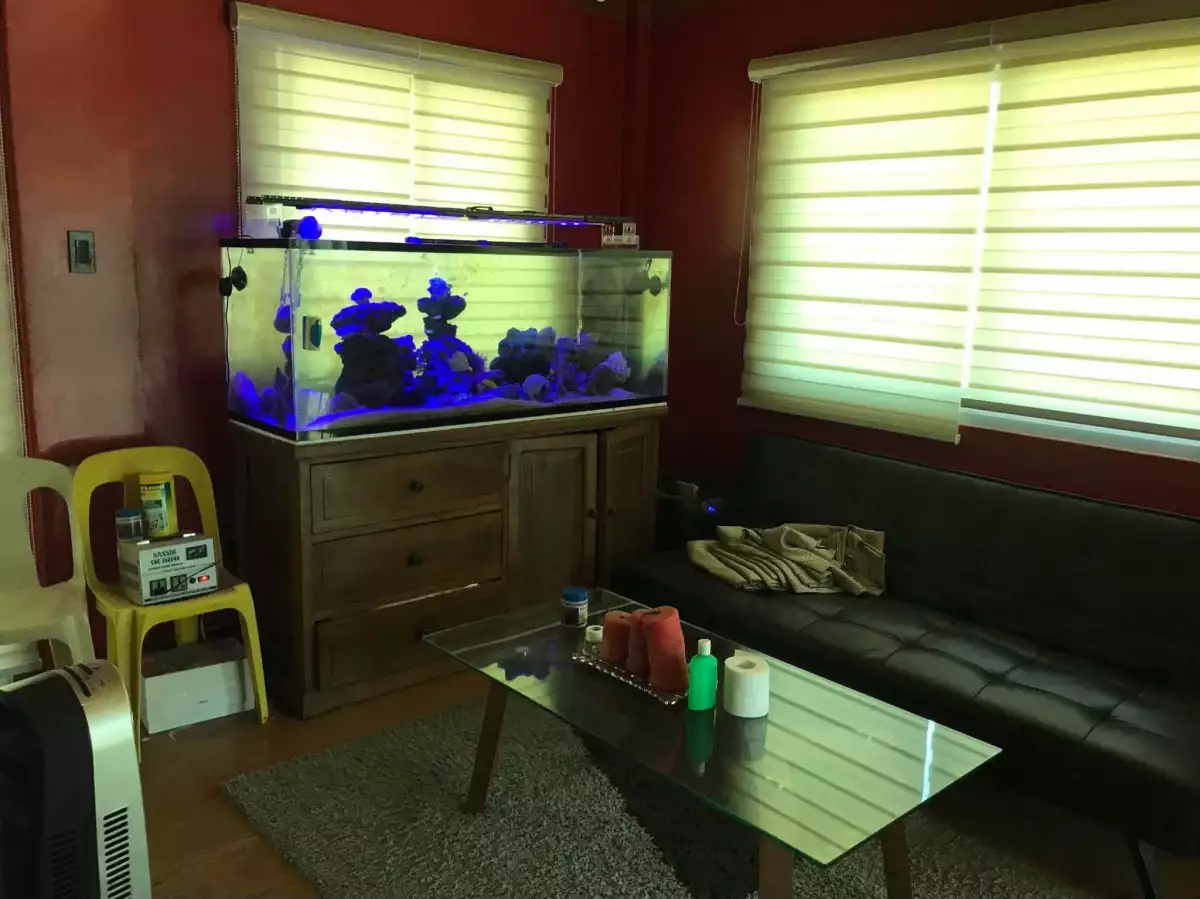 Open photo 14 of 20 — Two-unit Staycation property with Swimming pool
