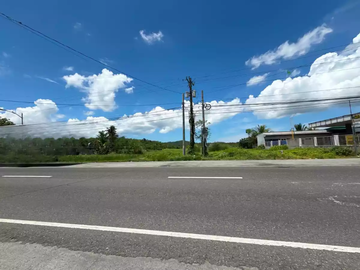 For Sale: Commercial Lot in Poblacion, Pamplona — 90000 sqm — Commercial Lot in Pamplona, Camarines Sur, 4416 — Photo 3