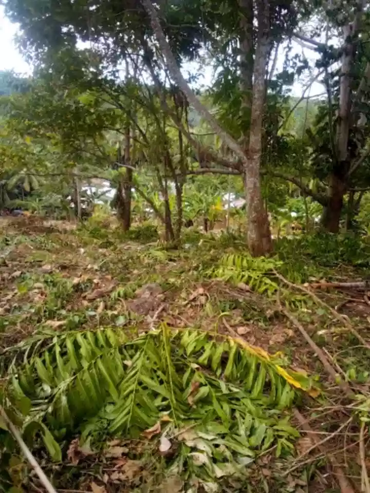 For Sale: 9426 sqm Residential Lot in Talairon, Oroquieta City — Land Banking — Residential Lot in Talairon, Oroquieta City, Misamis Occidental — Photo 5
