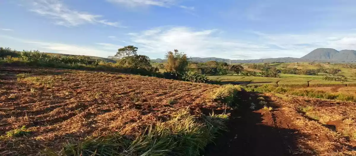 Kalasungay Agricultural Lot for Sale in Malaybalay — 326119 sqm Investment — Agricultural Lot in Malaybalay, Bukidnon, 8700 — Photo 2