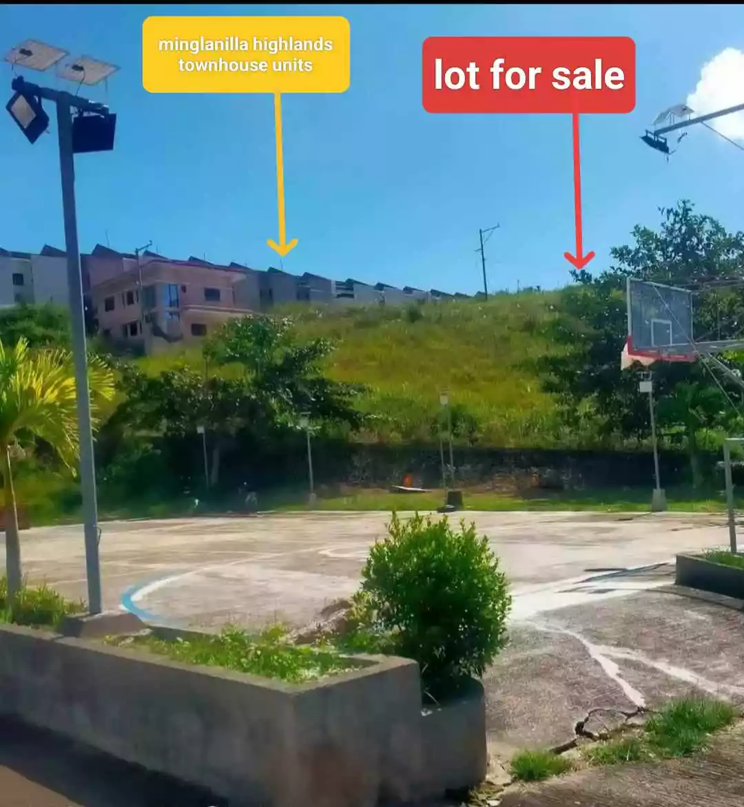 For Sale: 200 sqm Residential Lot in Tubod, Minglanilla, Cebu — Residential Lot in Tubod, Minglanilla, Cebu — Photo 6