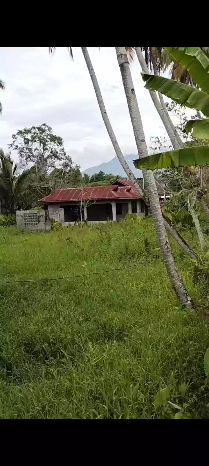 Clean Title — Commercial Lot in Banilad, Bacung, Negros Oriental — Photo 4