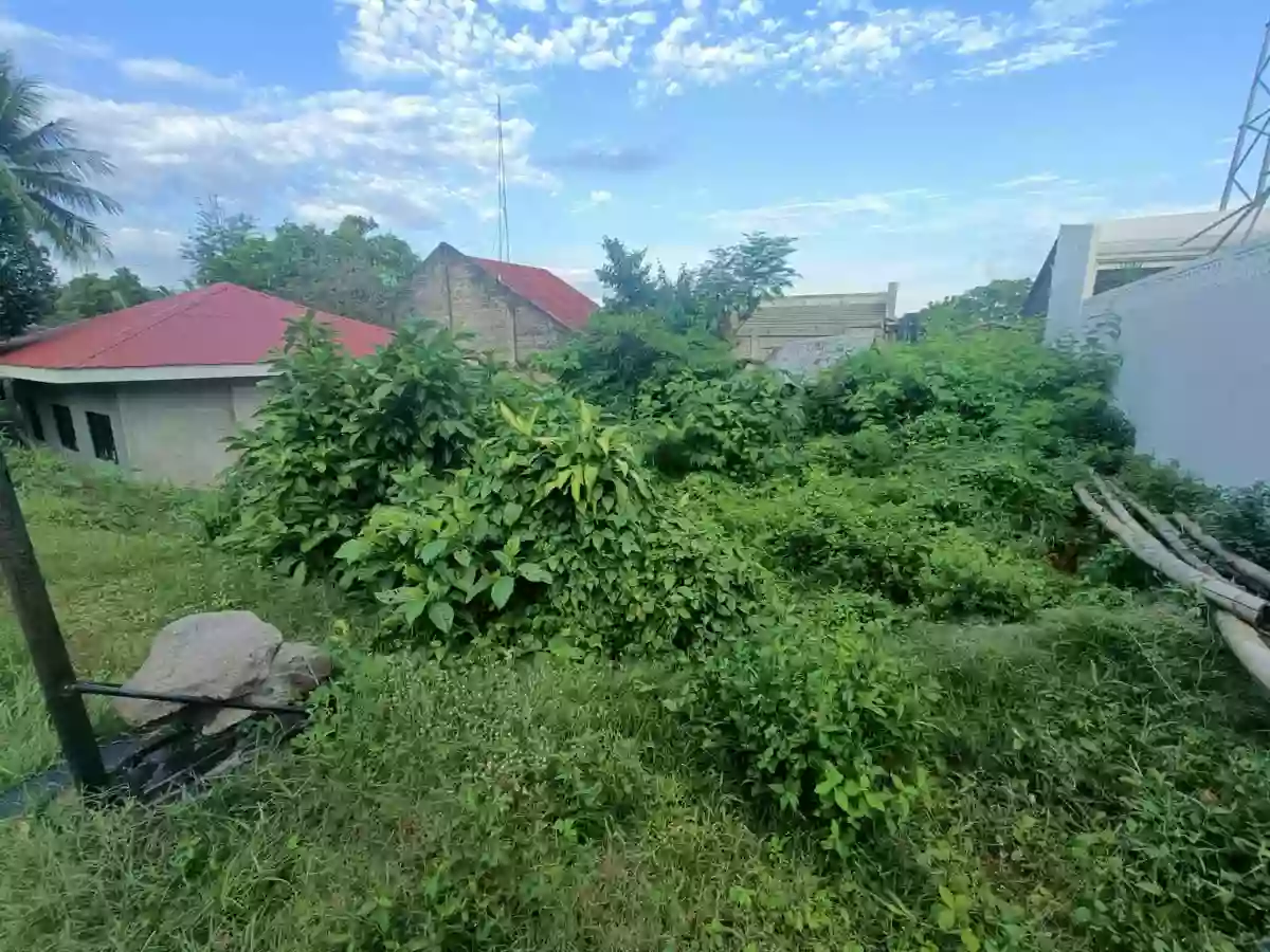 For Sale: Residential Lot in Poblacion I, Dauin — 138 sqm — Residential Lot in Dauin, Negros Oriental, 6217 — Photo 2