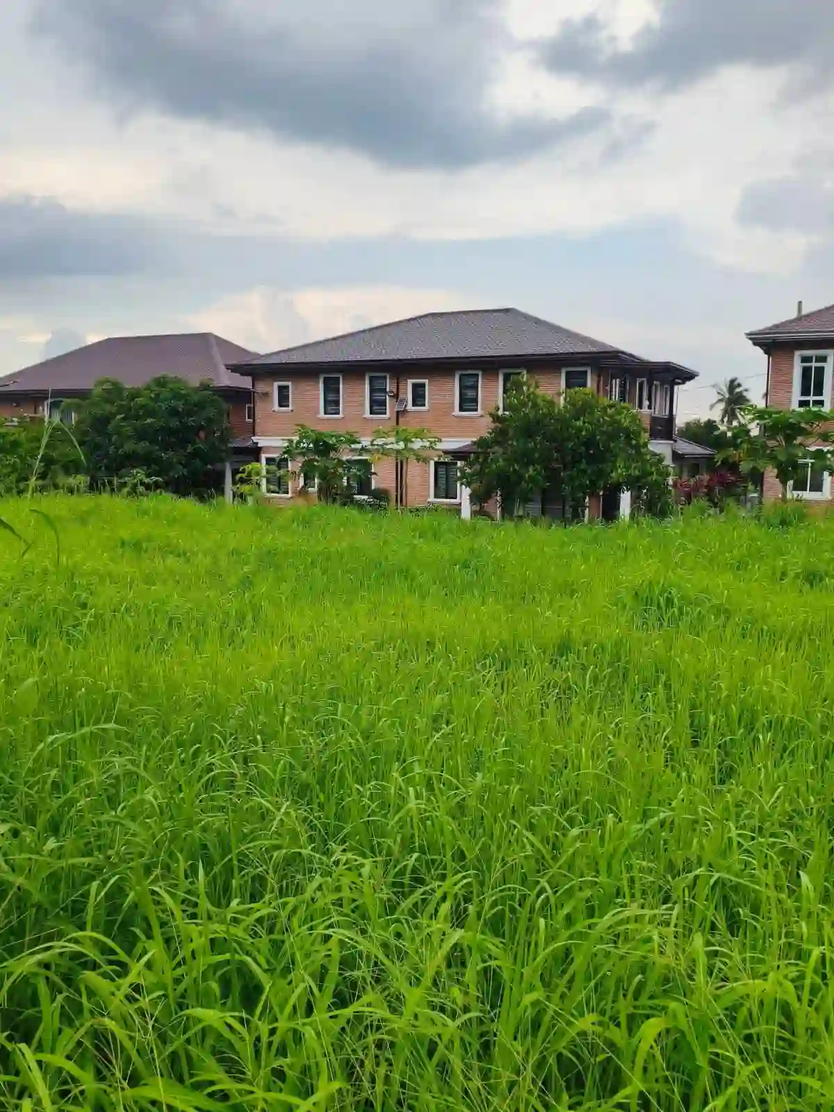 For Sale: Residential Lot in Banaba Lejos, Indang — 100 sqm — Residential Lot in Indang, Cavite, 4122 — Photo 6